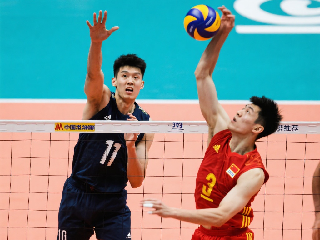 样的平台 样的平台